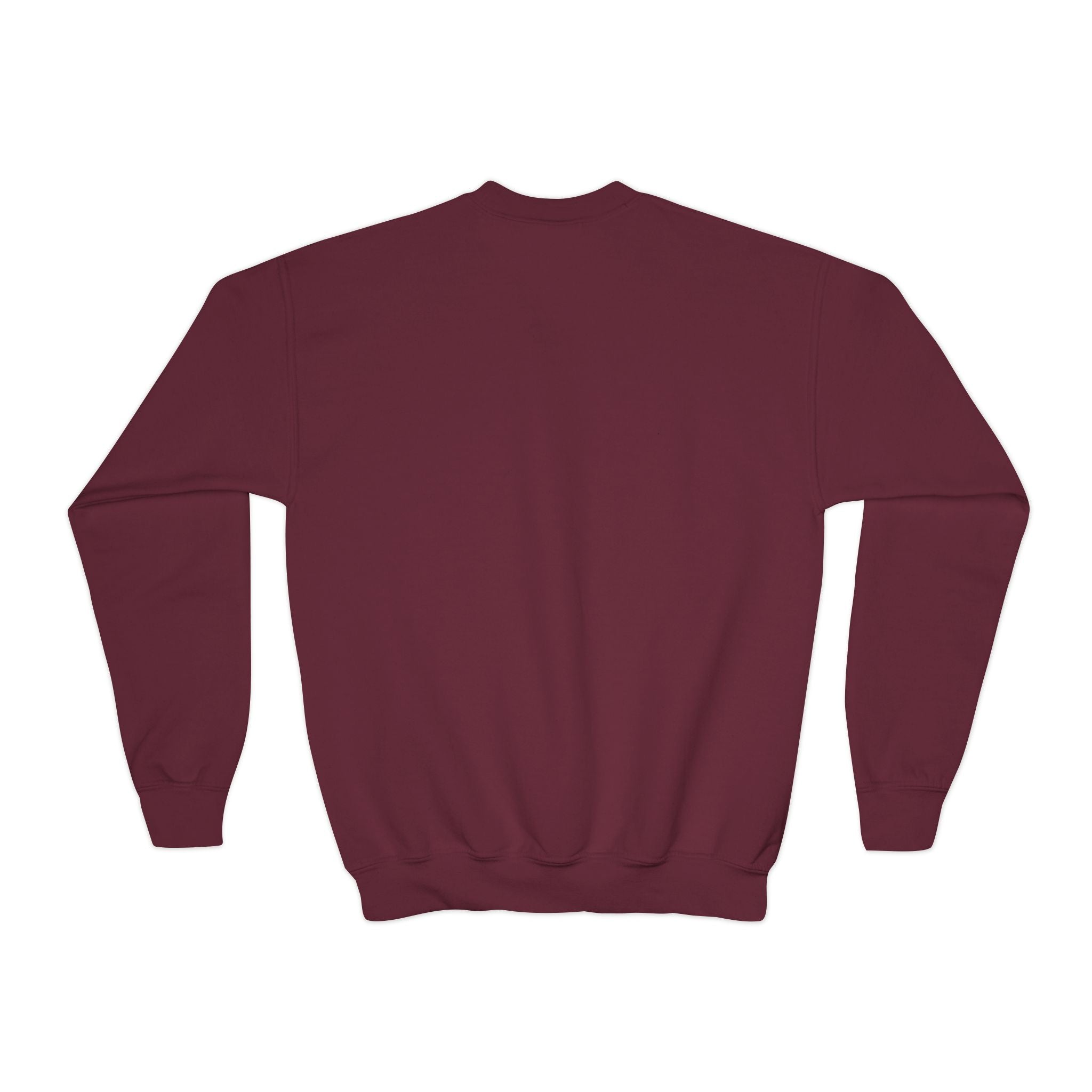 Youth Crewneck Sweatshirt – "Eat Sleep Sing Repeat" Kids Music Lover Pullover